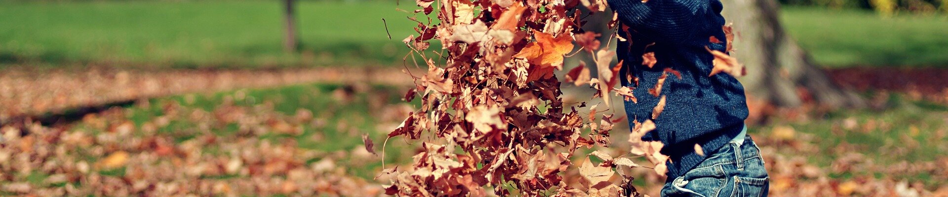 Votre horticulteur Logeart vous fait découvrir tous ce qu'il faut faire à l'automne