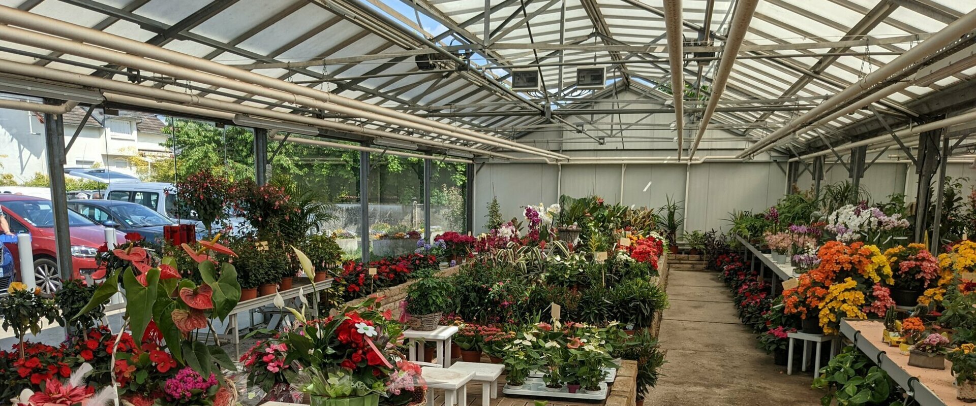 Bienvenue dans la jardinerie - Fleuristerie - horticulteur Logeart à Villemandeur dans le 45